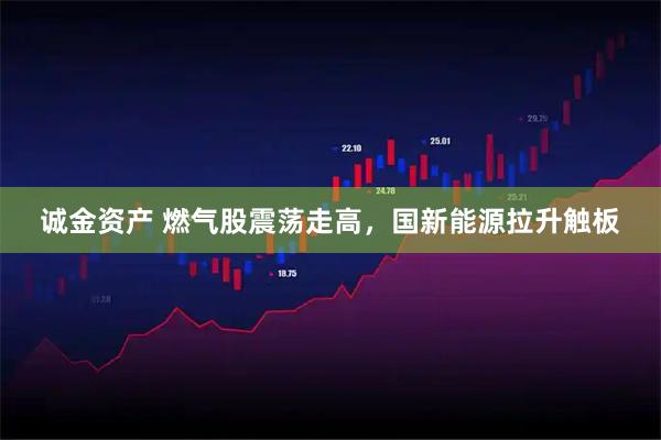 诚金资产 燃气股震荡走高，国新能源拉升触板